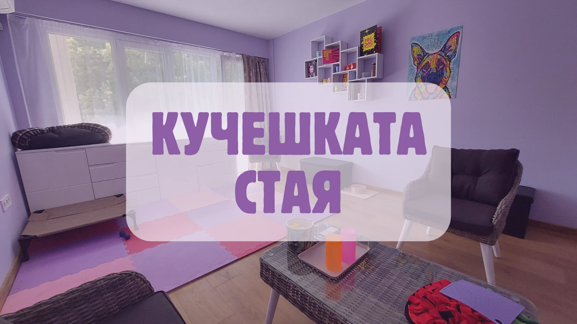 Кучешката Стая: Вашето място за обучение във Варна 