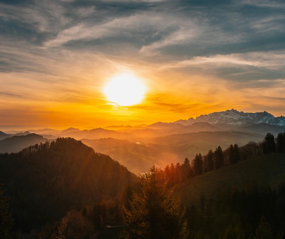 A qEEG-Derived Screen Reactivity Index Quantifies Pre–Post Changes After a 40-Day Digital Detox Despite Persistent Screen Addiction: Single-Case Evidence With Concurrent HRV