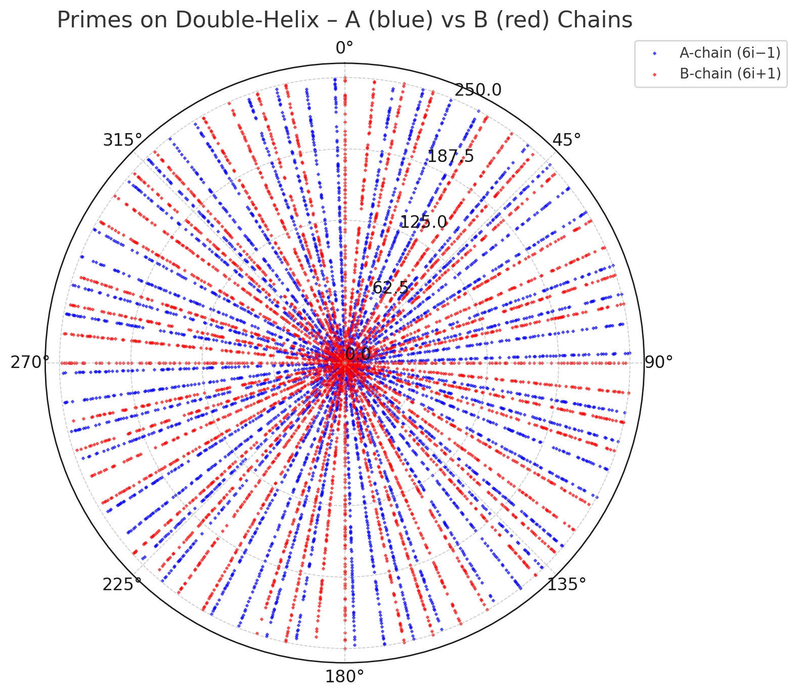 From Prime Rays to a Paired 12×5 Slot Torus with Applications to Discrete Sequence Encodings