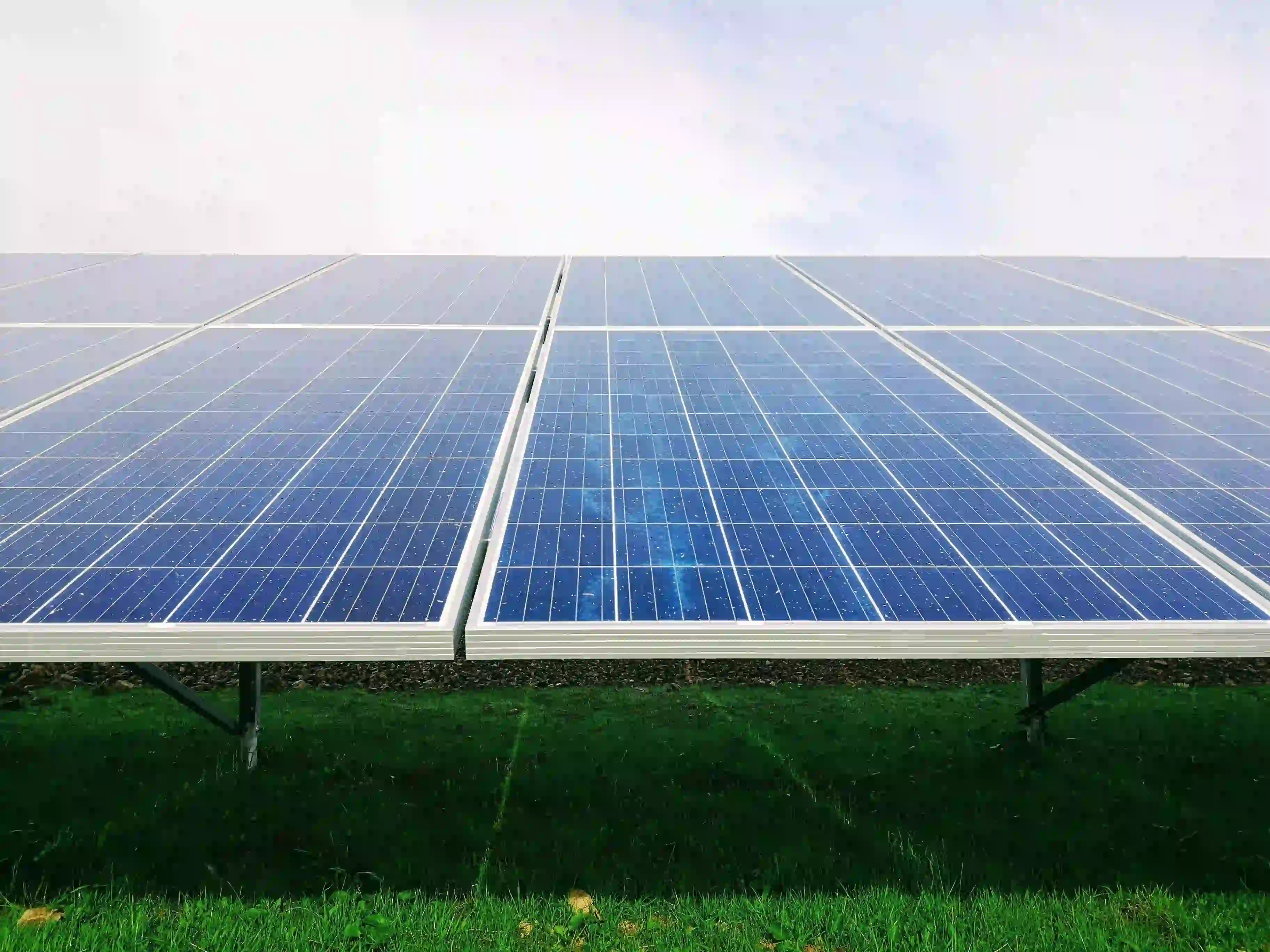 r51-solar-panels-with-grase-16733548947165.jpg