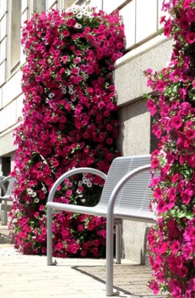 1350397606189-planter-city-walk-outdoor-4-17535970075077.png