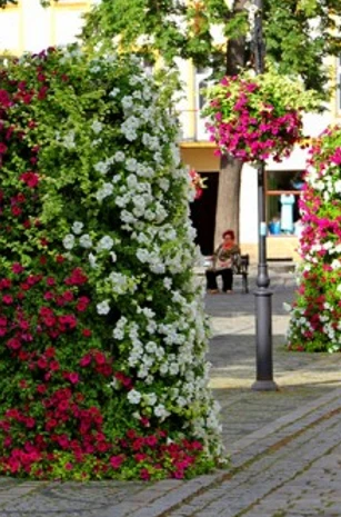 1390307465191-planter-city-walk-outdoor-2-17535970075058.png
