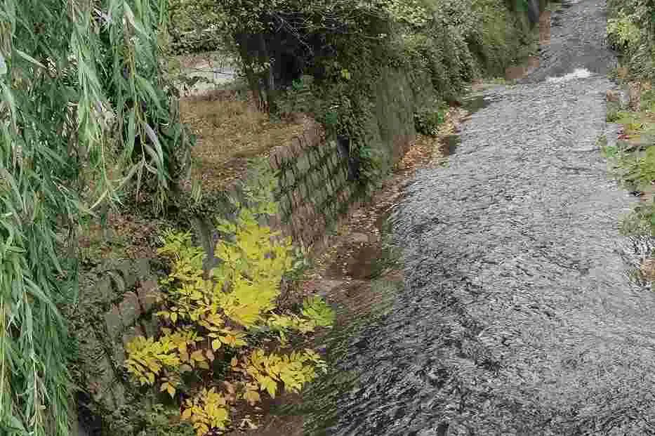 Питат гражданите за зоната около Владайска река в София  