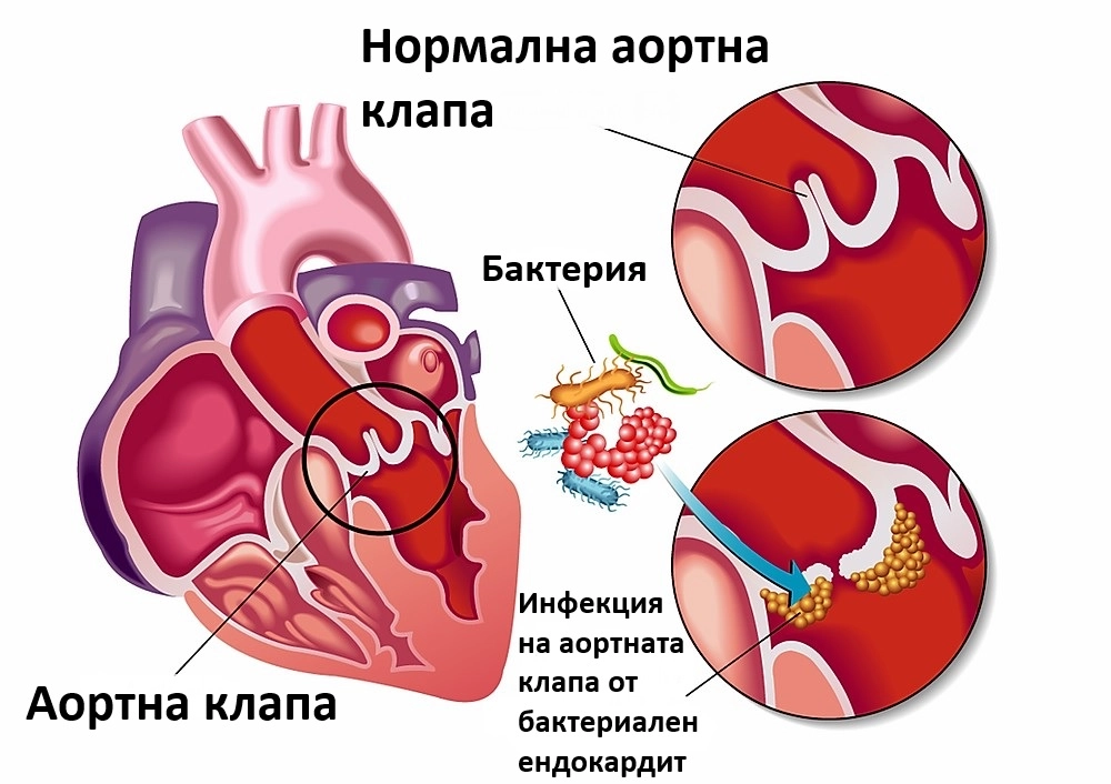 411-5e7eec6353627878694e0cabd614befd67e62bmv2-16973666753224.jpg