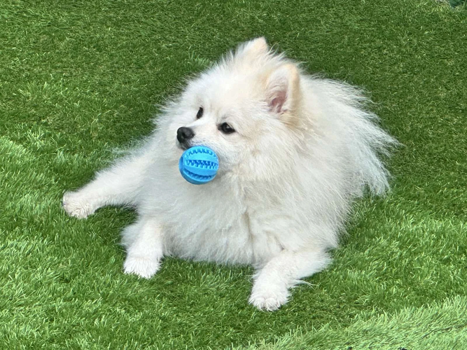 Защо дневната грижа е истинско спасение през зимата