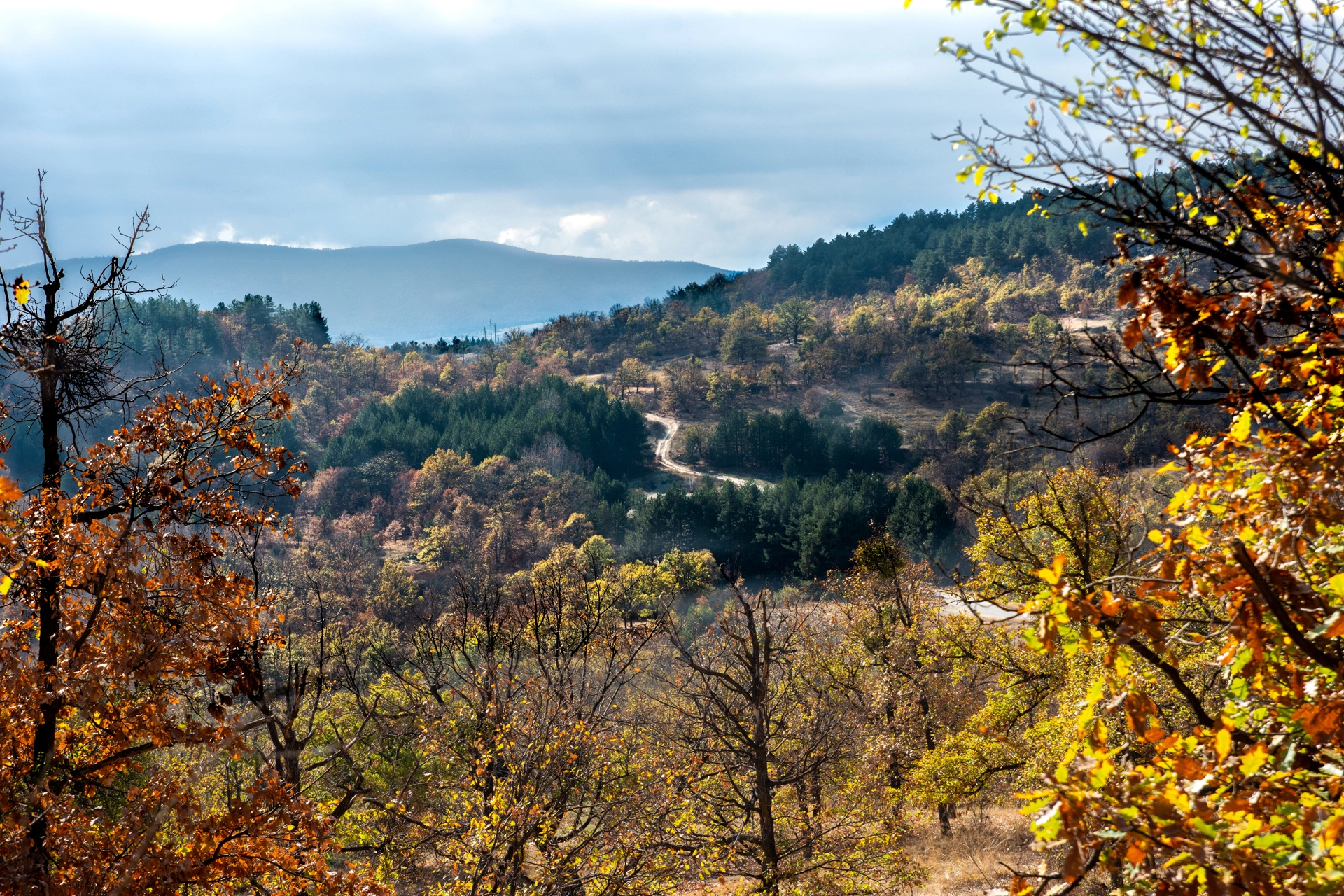 Природа Природа