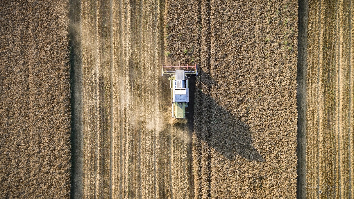 1966-harvest2019plamenstoyanovphotography-4.jpg