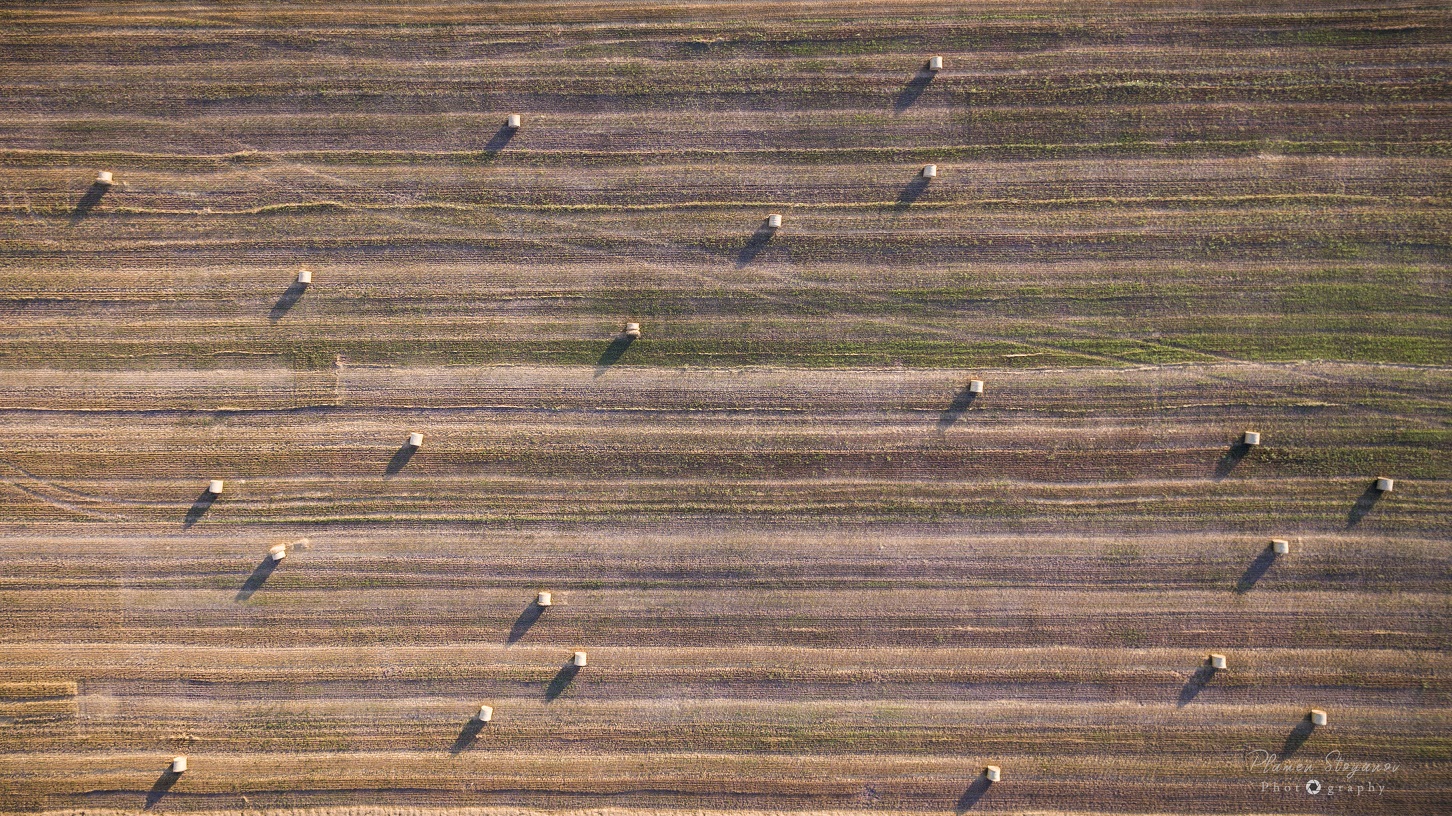 1966-harvest2019plamenstoyanovphotography-8.jpg