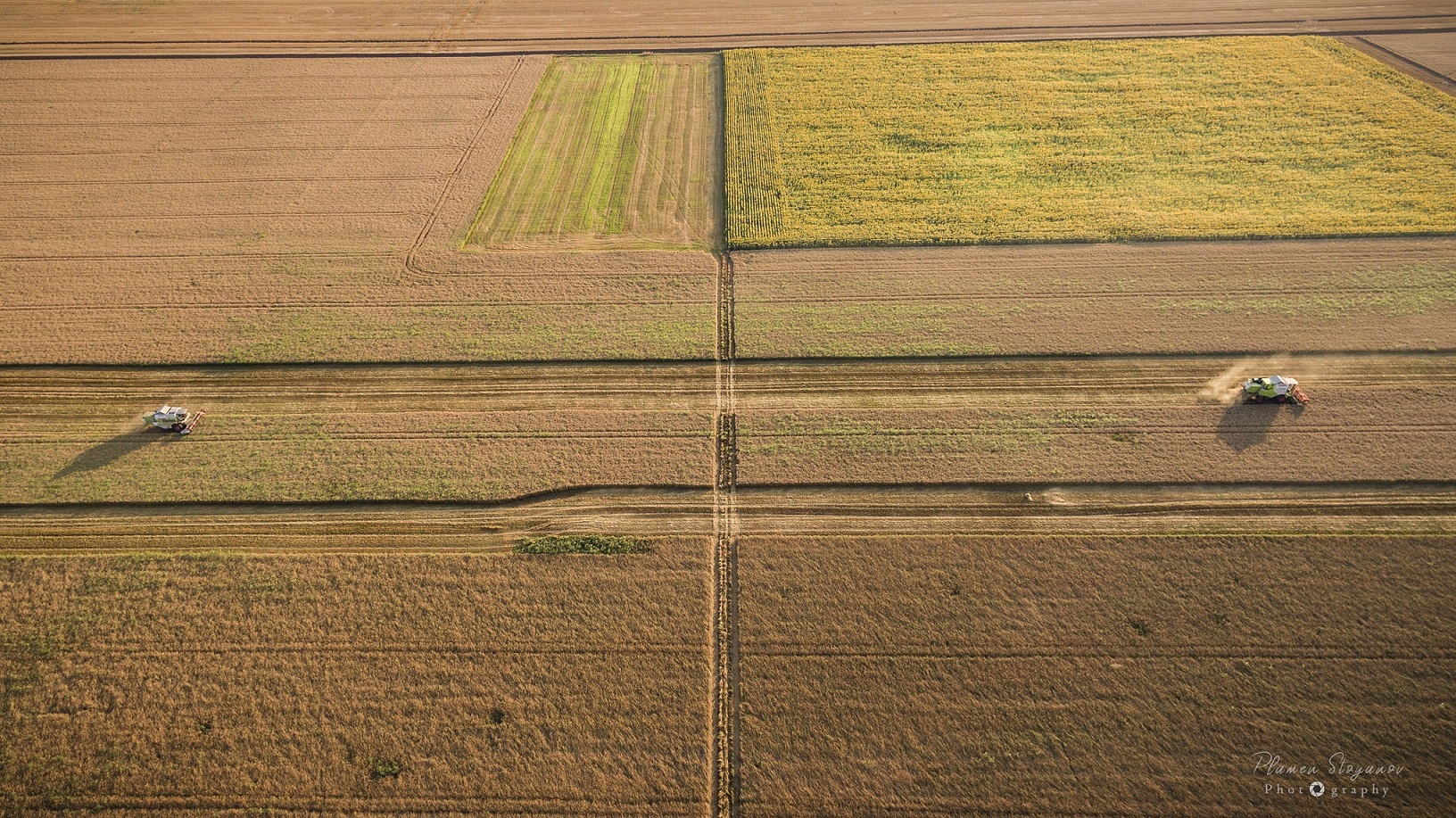 1966-harvest2019plamenstoyanovphotography-9-15689791707875.jpg