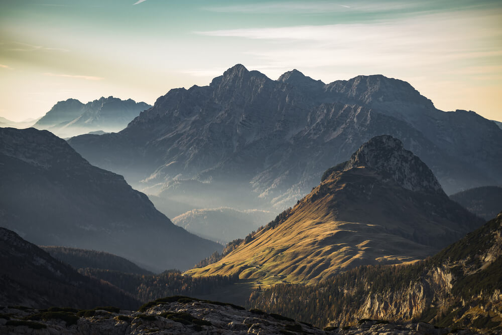 915-shutterstock345422303.jpg