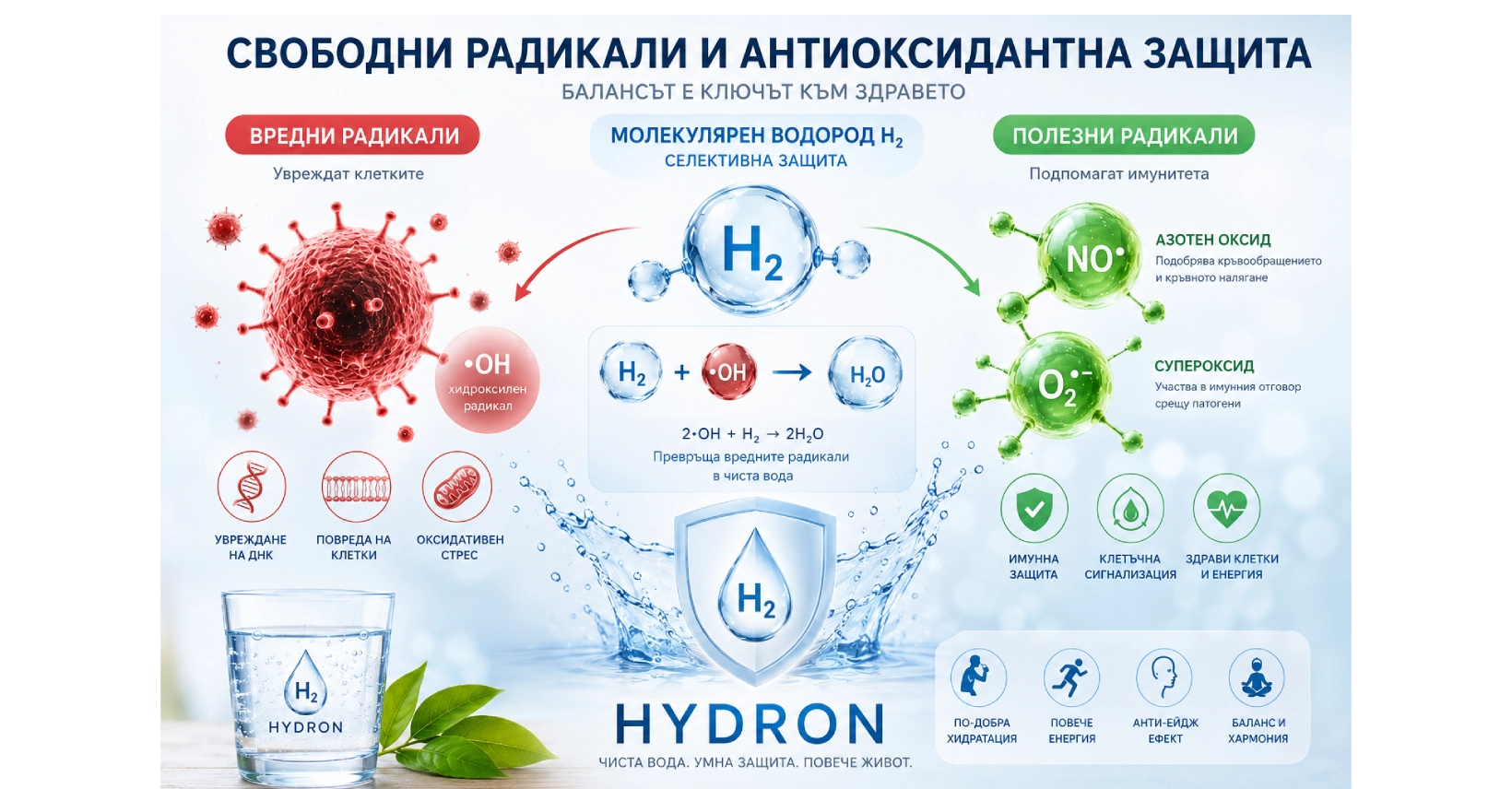 Свободни радикали и антиоксидантна защита