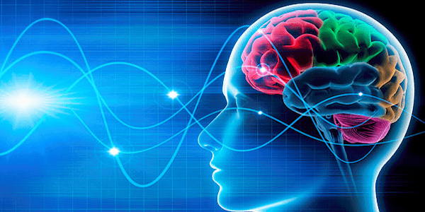 Върху кои когнитивни умения оказва влияние невропластиката? 