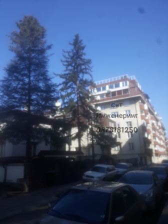 махане на опасни дърва Опасни клони