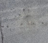 Признаци за повреден покрив - как да ги забележим навреме