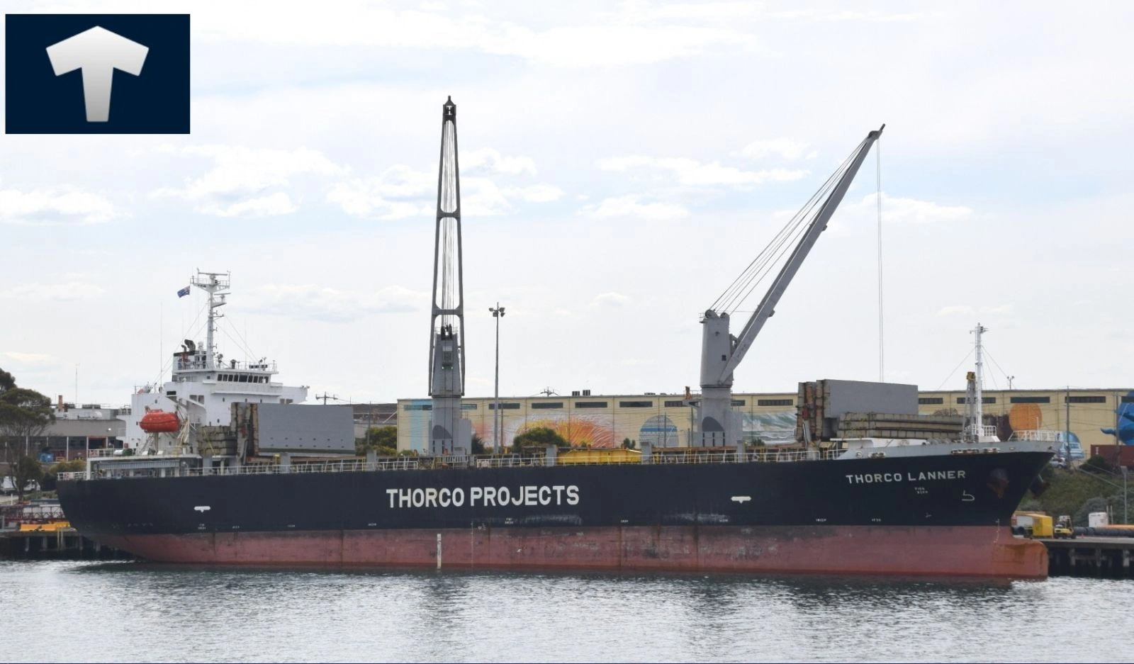 500-thorgo-projects-17778290493716.jpg