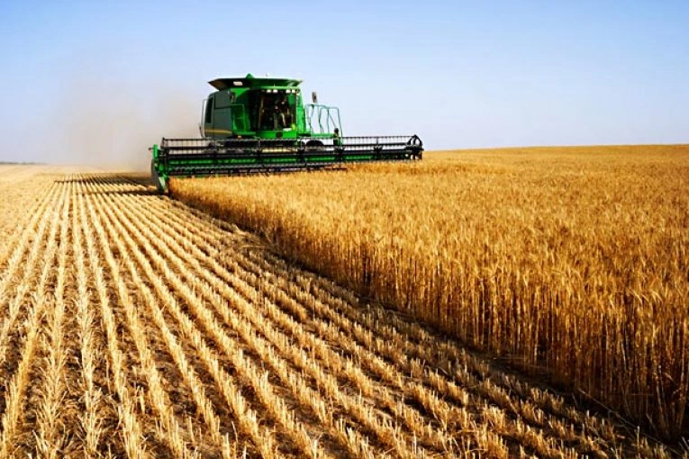 529-agriculture-765x510-17701218349856.jpg