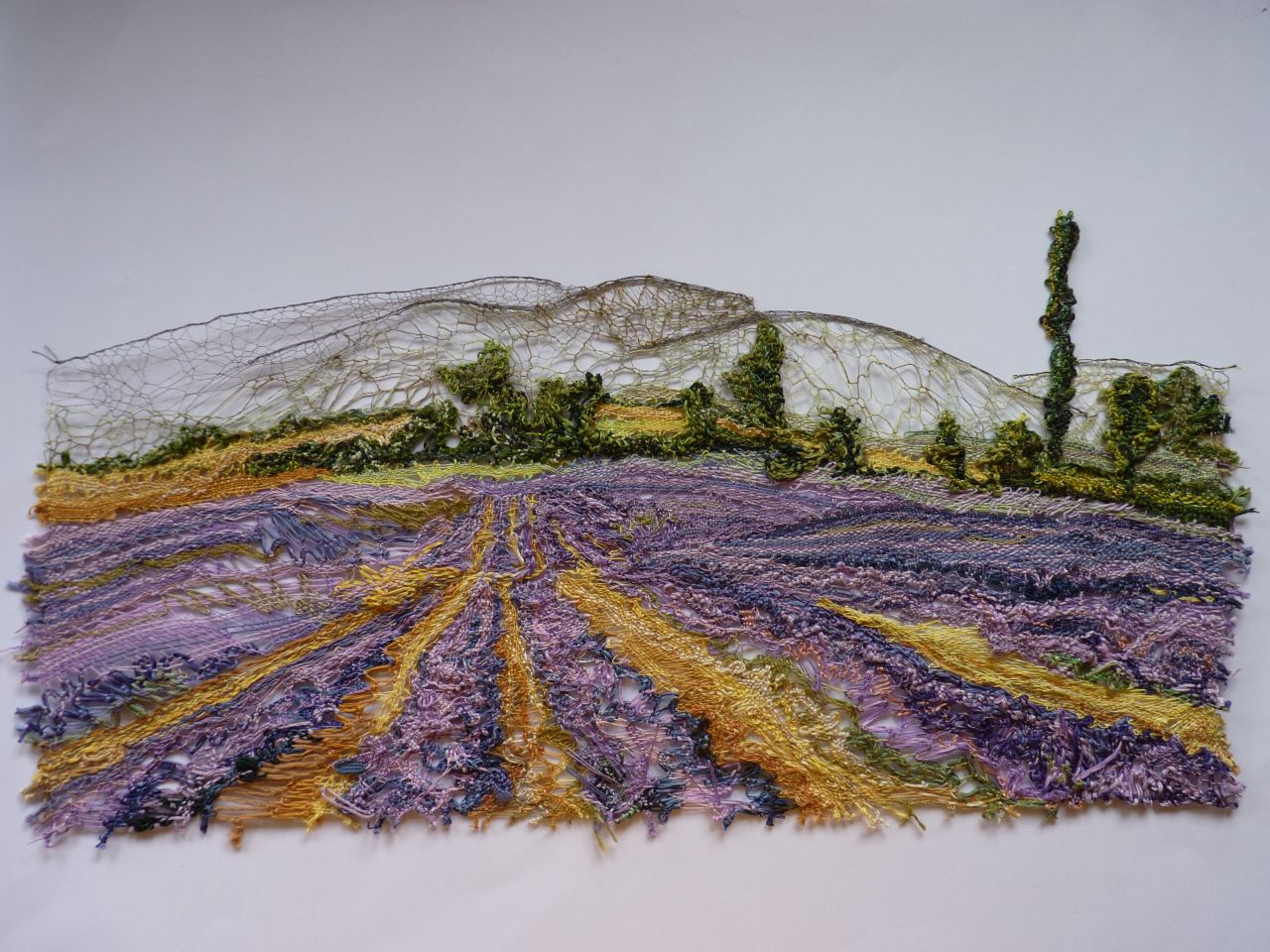 Лавандула 2806-lavander-2020s.jpg