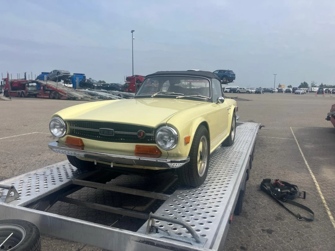 184-protrans-auto-10-17543017430557.jpg