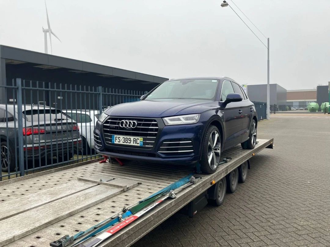 184-protrans-auto-16-17543015127751.jpg