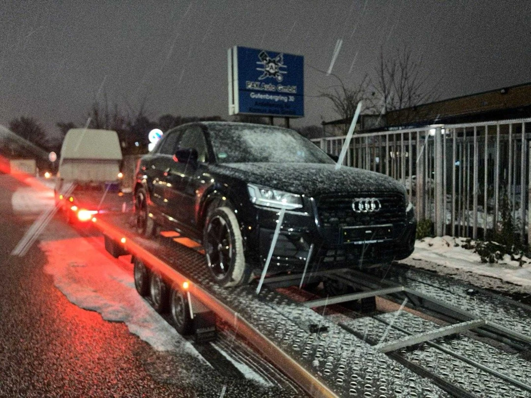 184-protrans-auto-4-17543017785625.jpg