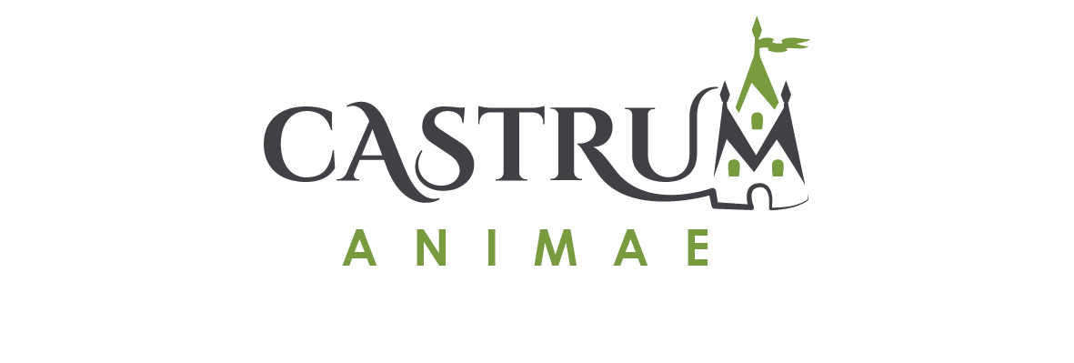 04271181399228-logo-castrum-animae-2-17557206222455.png