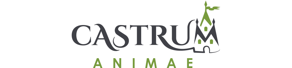 04421181277717-logo-castrum-animae-2-17333139304828.png