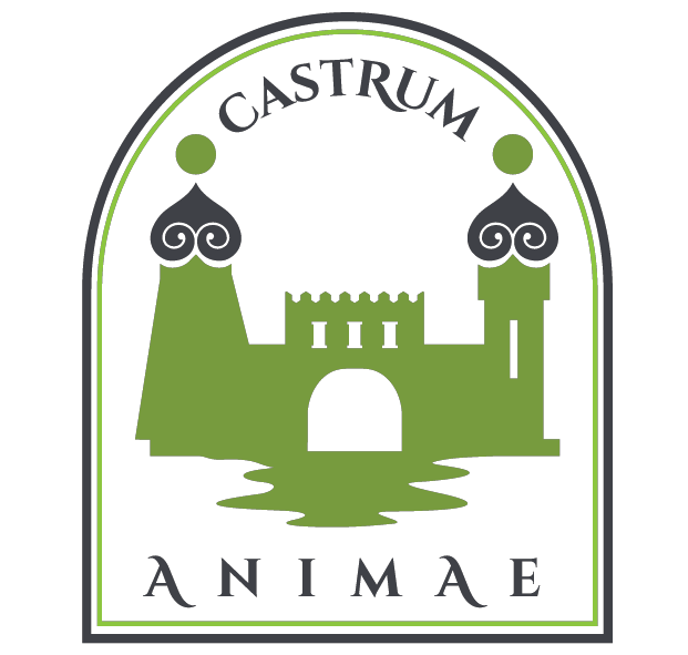 Castrum Animae - closer to yourself, in harmony with others
