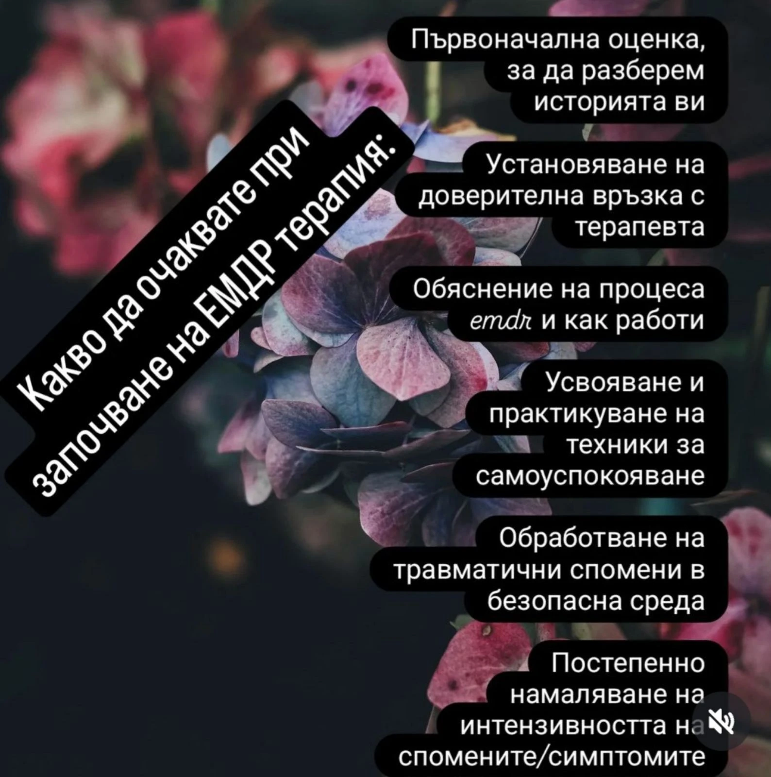 287-imageviber2024-11-0315-10-56-476-17306398313687.jpg