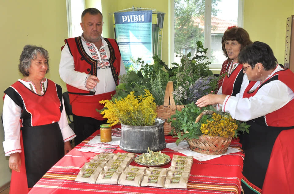 56-chaj-korica1dkxu0w-16466428667999.jpg