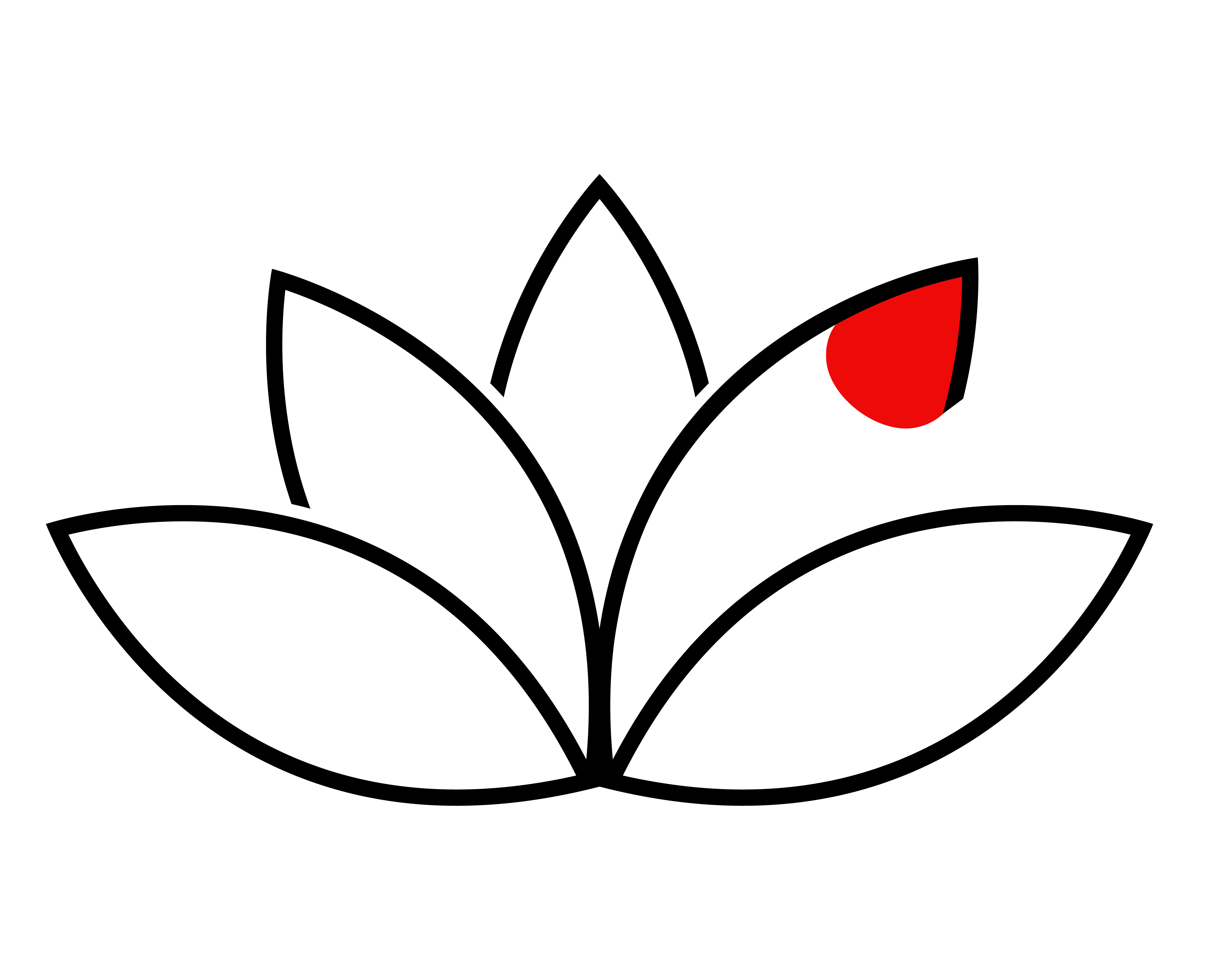 Pilates Reformer LÓTA България