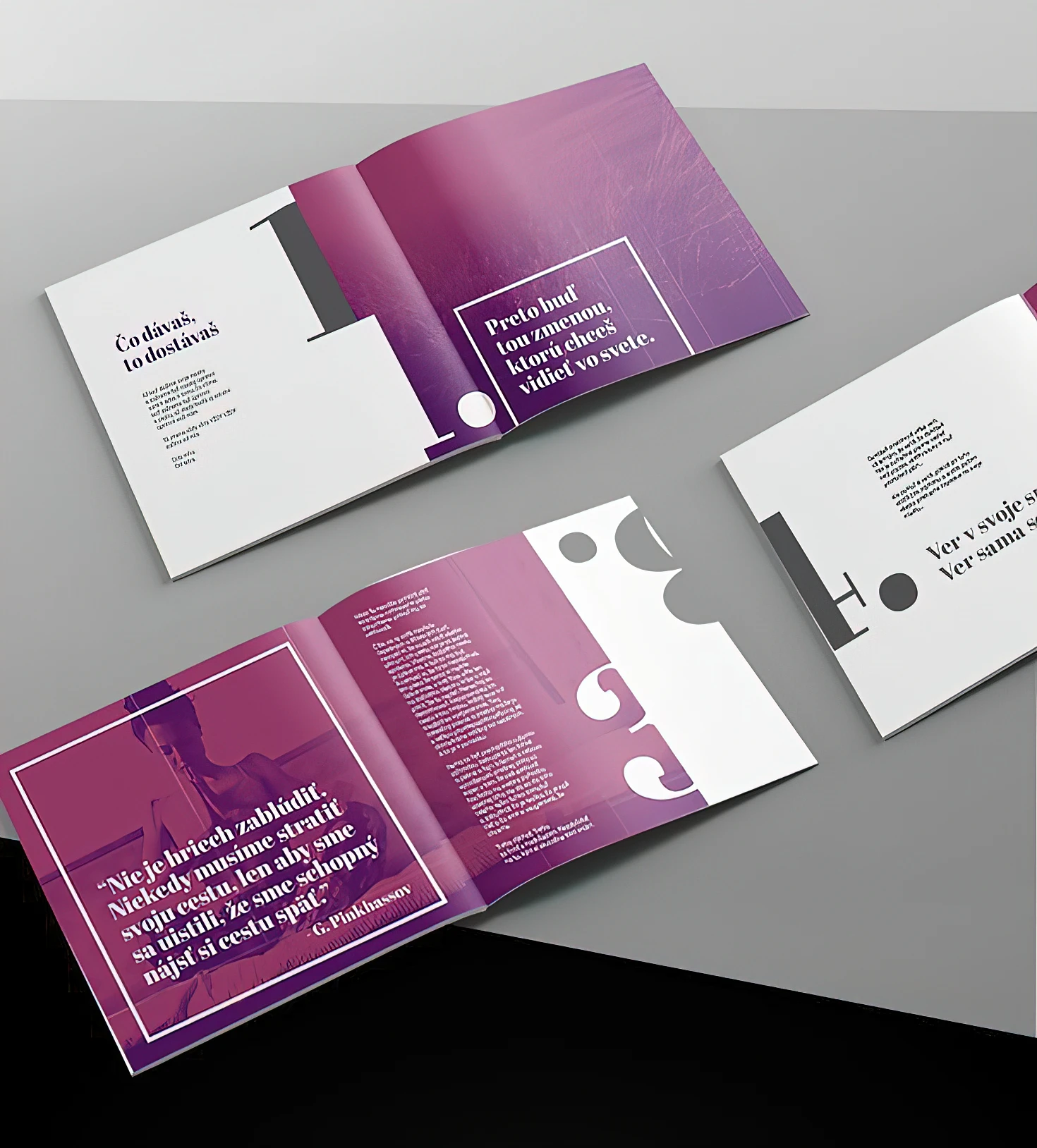 260-brochures18-gigapixel-lines-scale-200x-17510275382794.jpg
