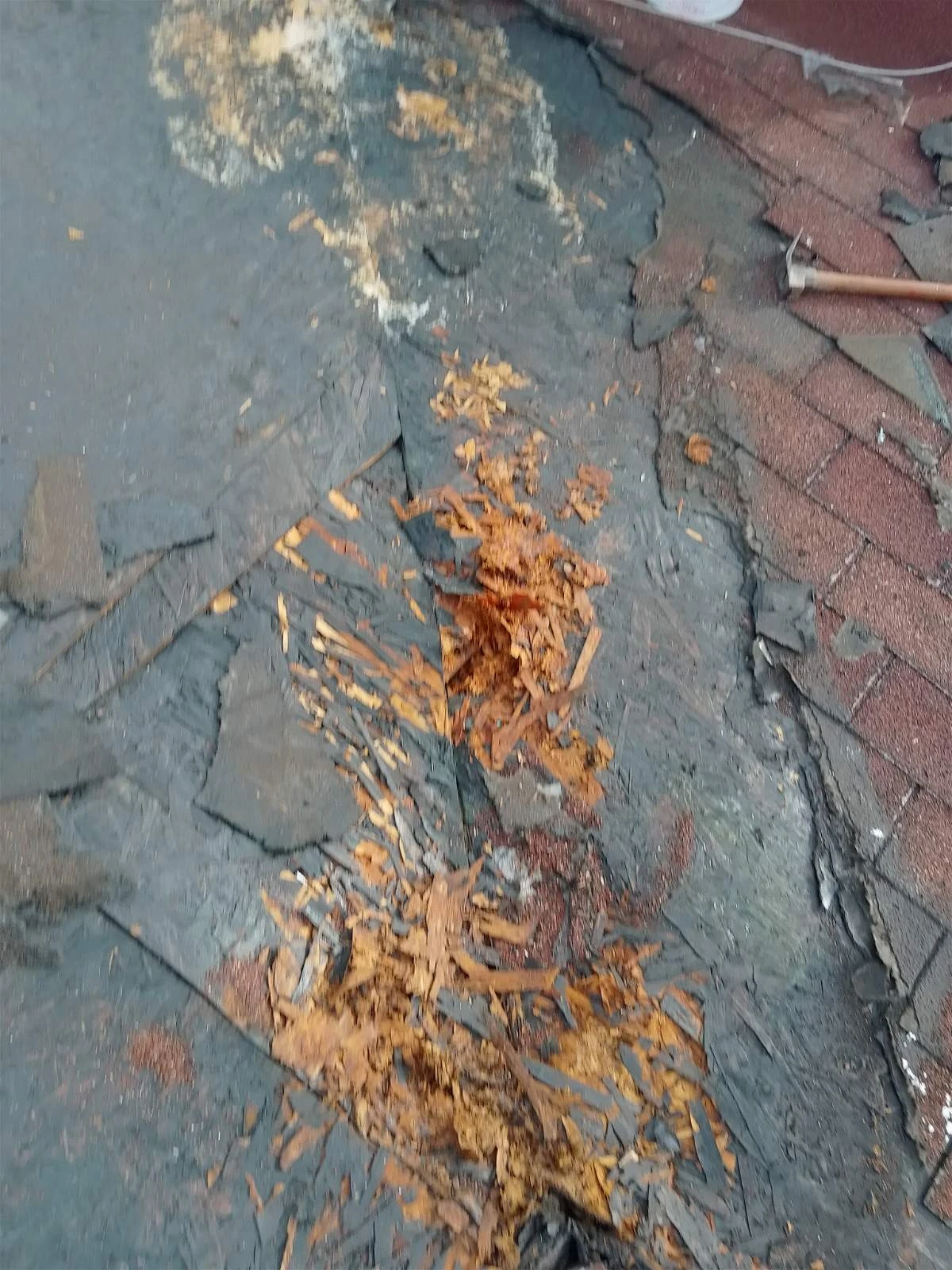 Подмяна на изгнила основа