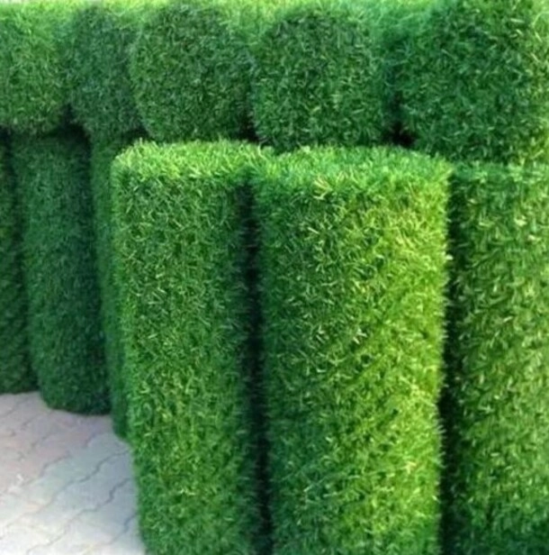 ВИЖ ЦЕНА НА ДЕКОРАТИВНА МРЕЖА ЖИВ ПЛЕТ