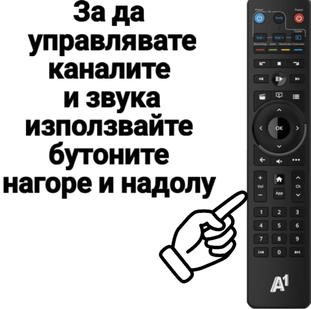 131-whatsapp-image-2025-06-06-at-164459f06f4d61-17492248491364.jpg