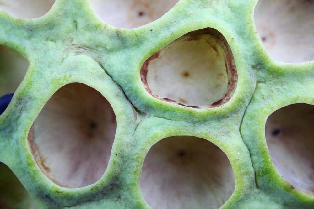 Козметика от натурални съставки