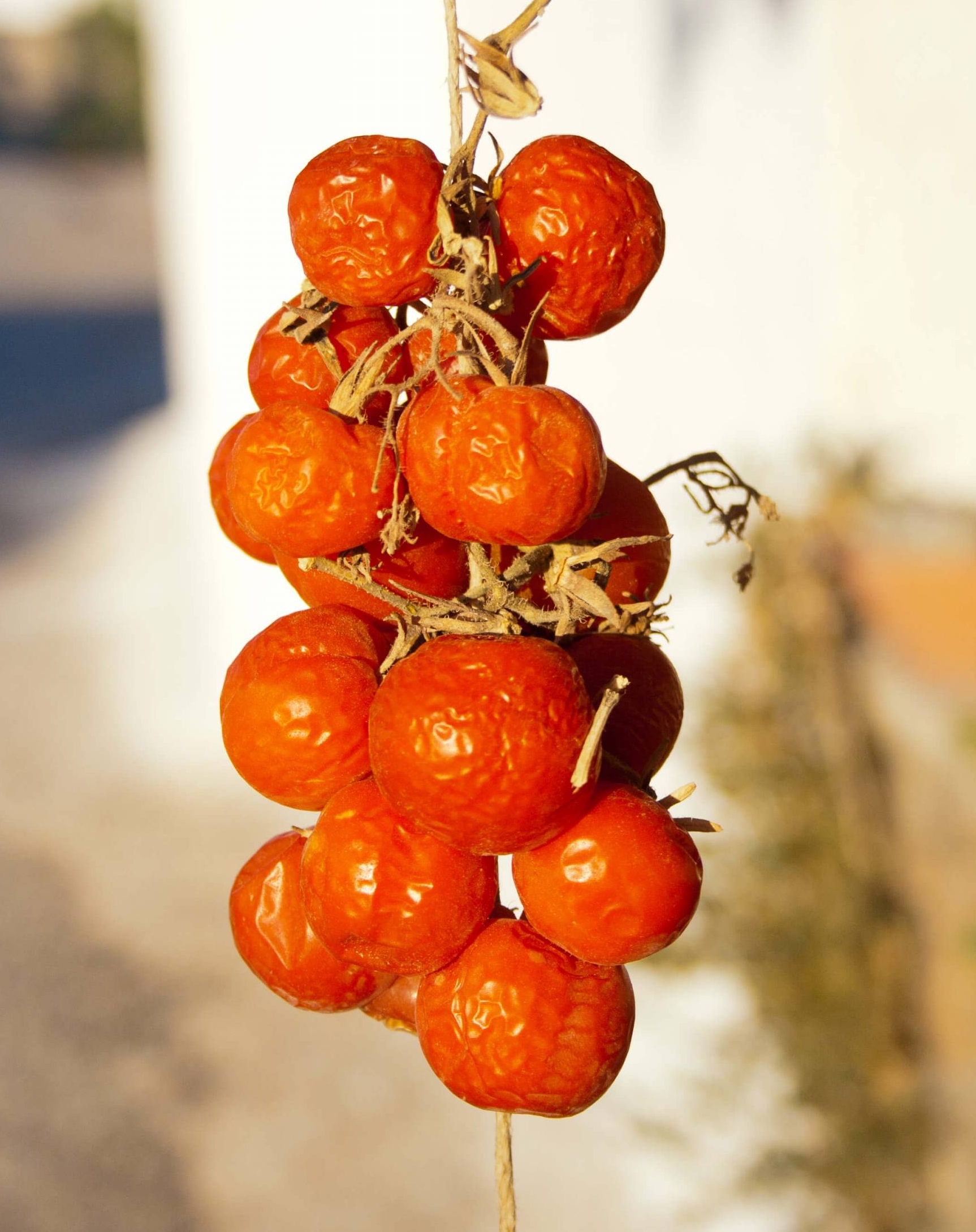 325-shutterstock155043764-1.jpg