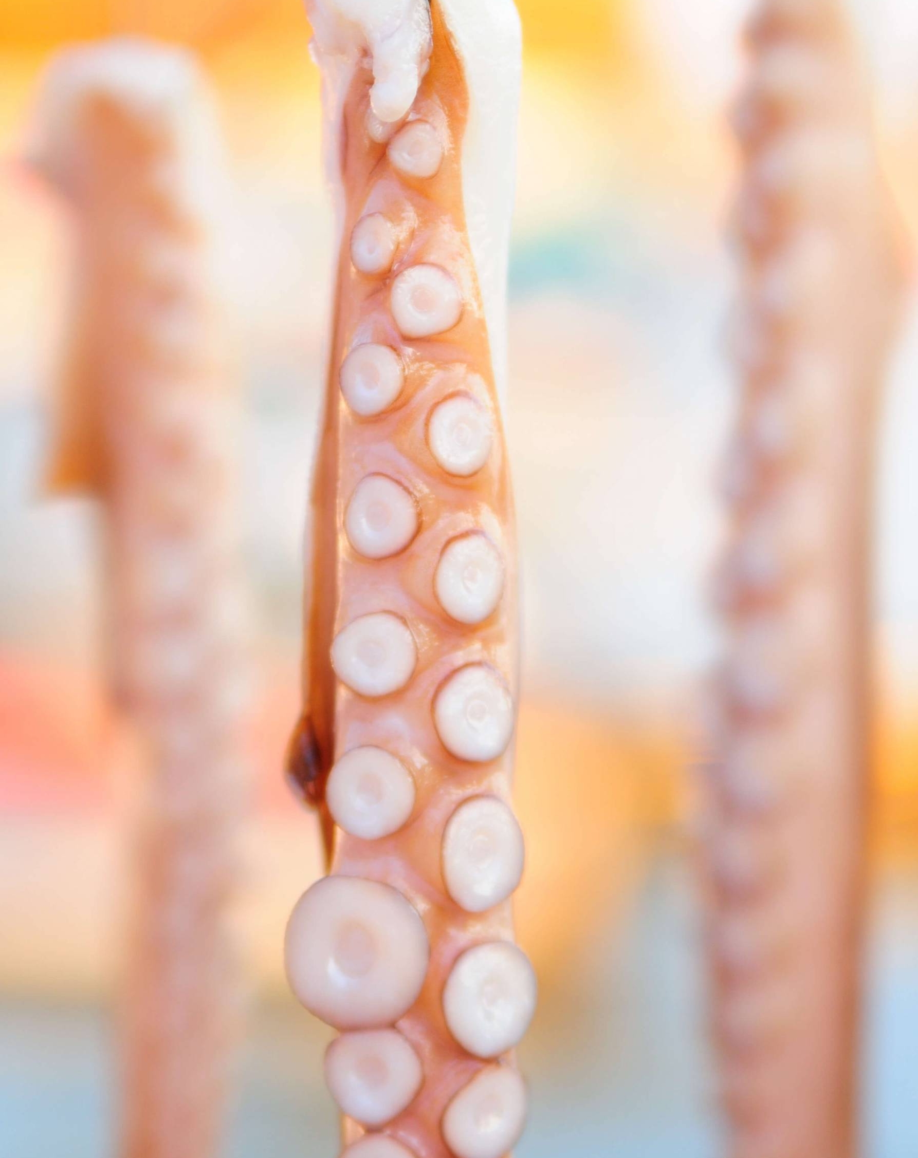 332-shutterstock183055838-1.jpg