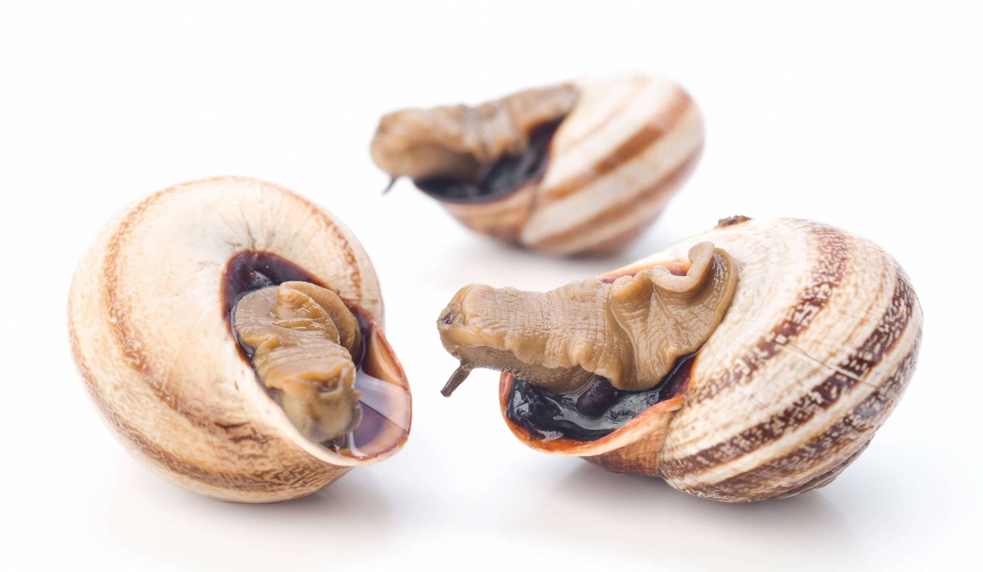 333-shutterstock440823265-1.jpg