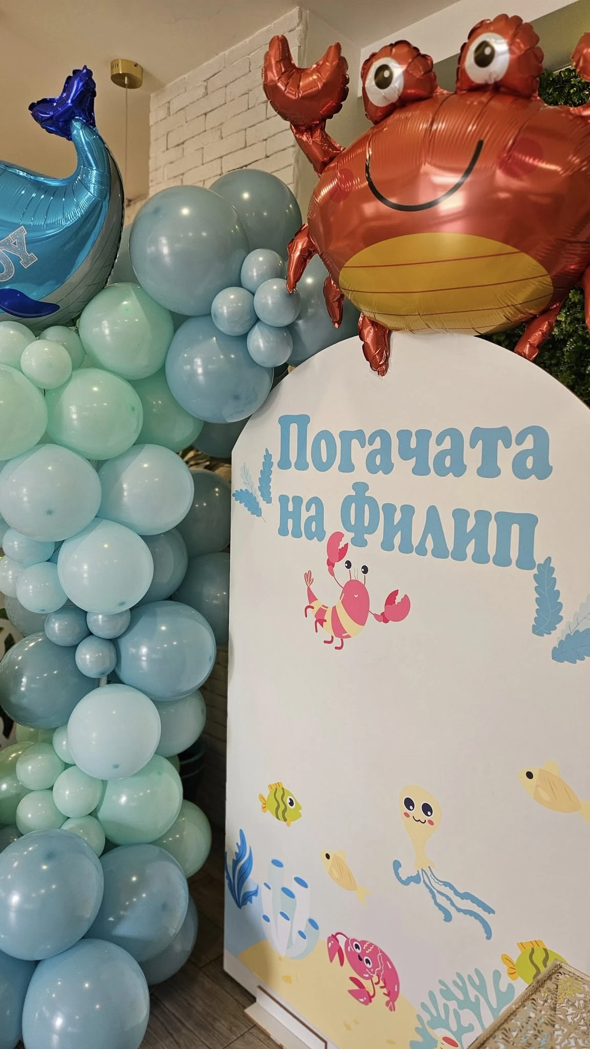 266-52674054410918291030563524410462790184222416n-17558092520975.jpg