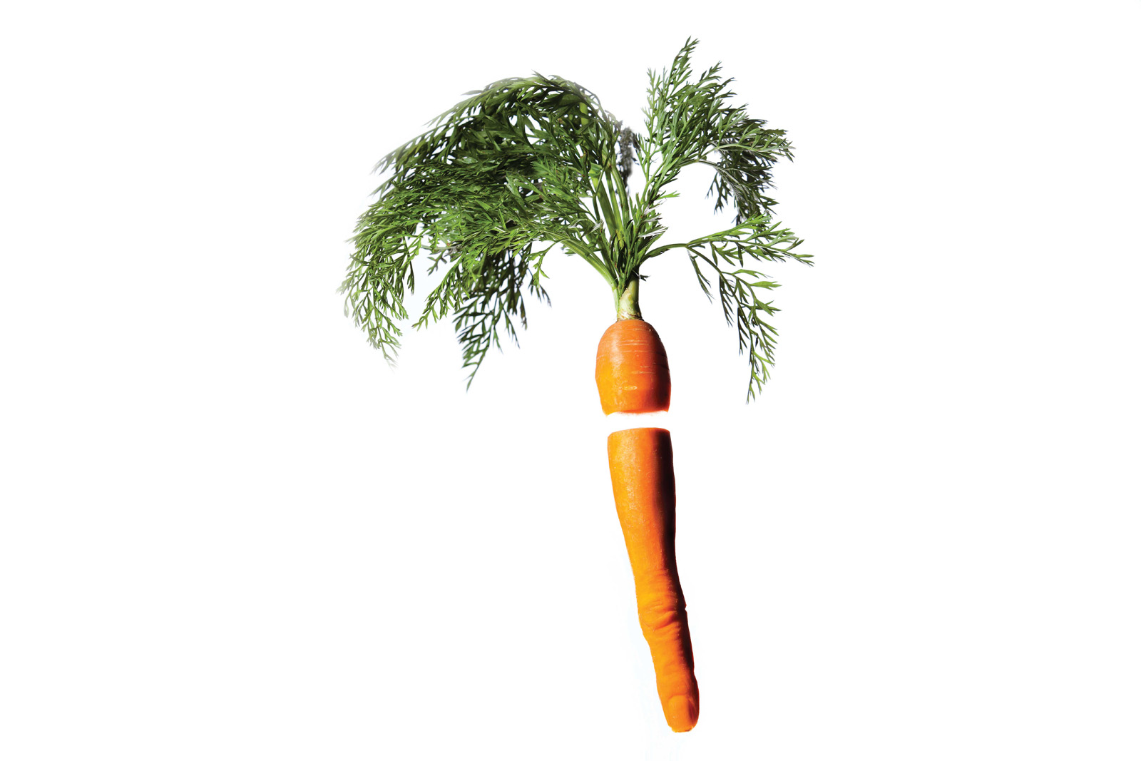 311-carrot-finger-single.jpg