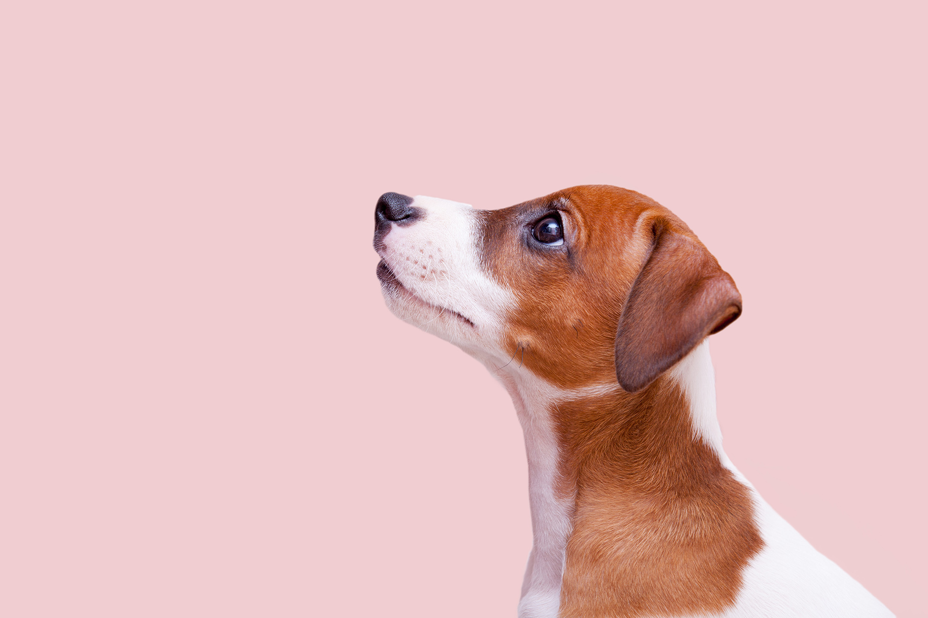 r67-r34-shutterstock321847556-0-1.jpg