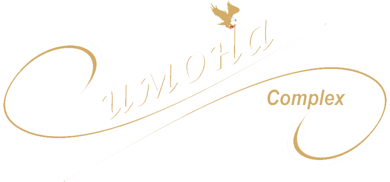 Hotel Simona