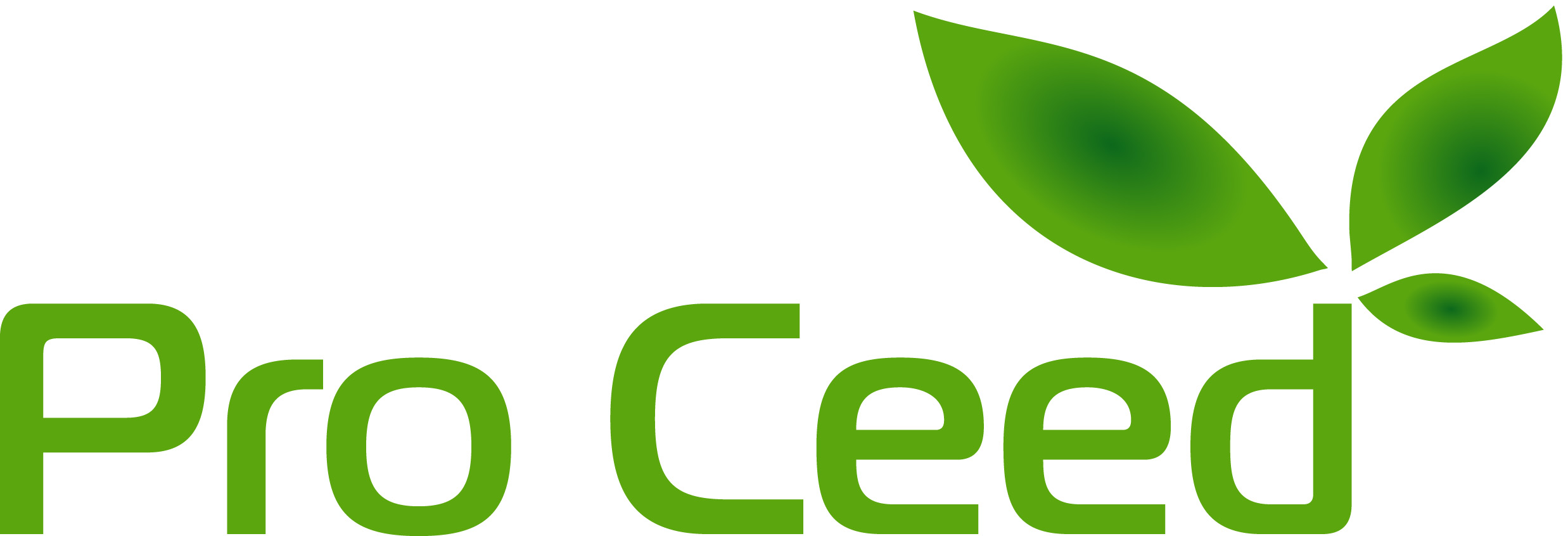 Про Сийд  | Pro Ceed