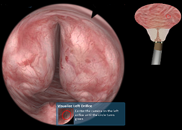 56-virtamedurosimbasicskillsvisualization360.png
