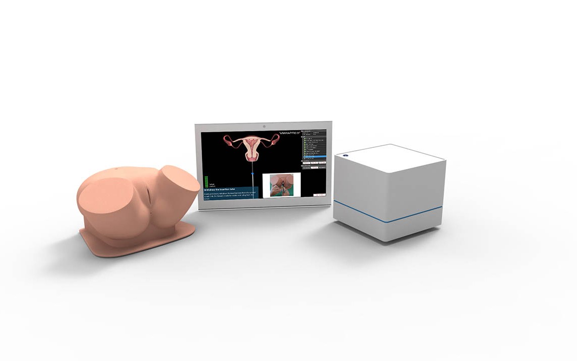 6301145718267-pelvicsimportablescreensimulationcubeiudweb.jpg