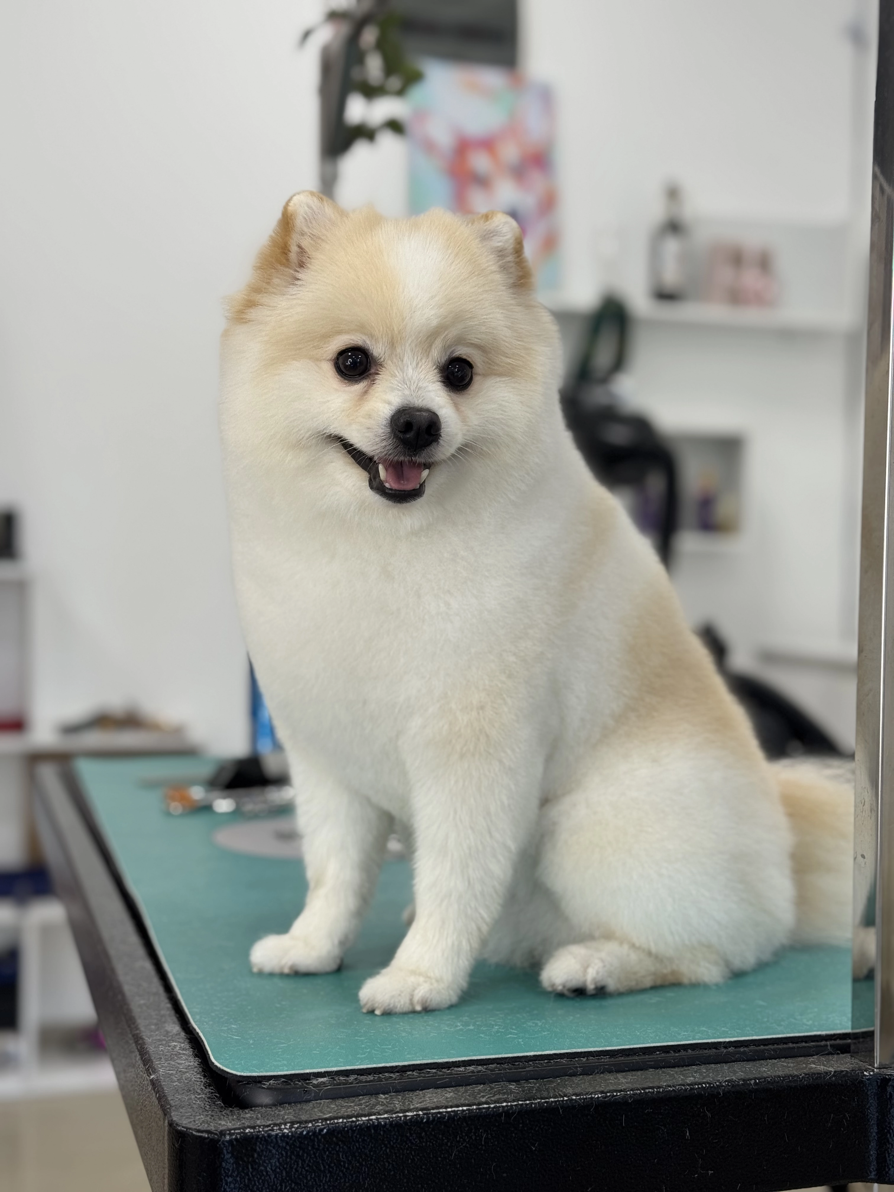 380-img2419-17583068657701.jpeg