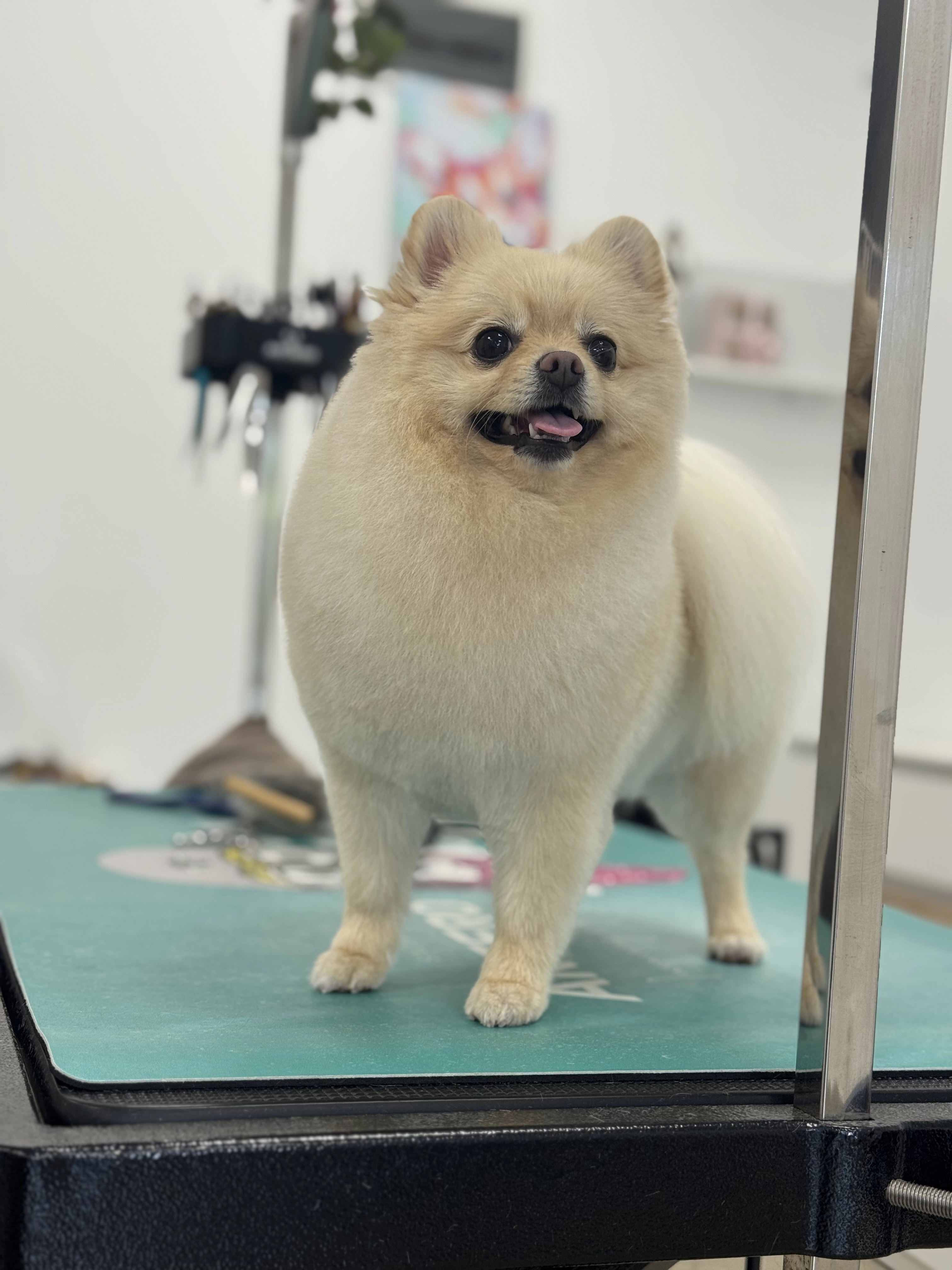 380-img2485-17583068658582.jpeg
