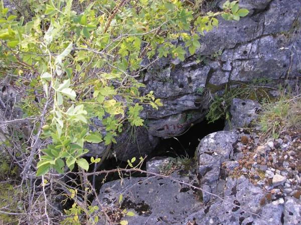 258-smolcha-deinosti2-17521369556502.jpg