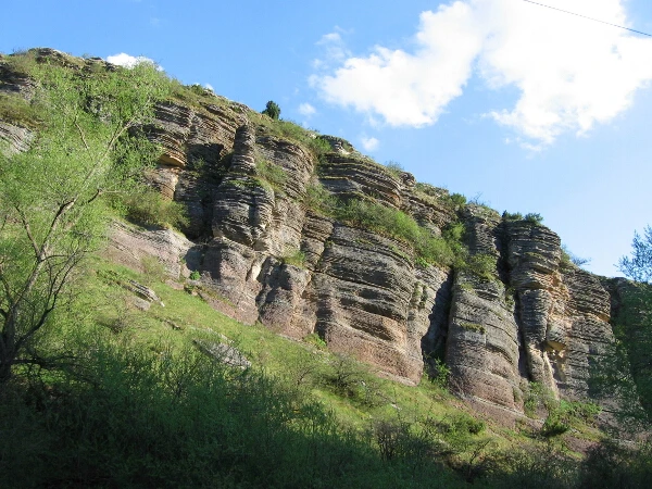 258-smolcha-deinosti3-1752136955991.jpg