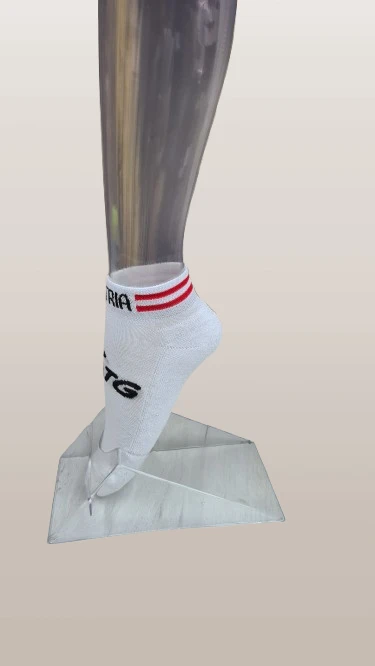 550-20220401095957-removebg-preview-17500902468779.png